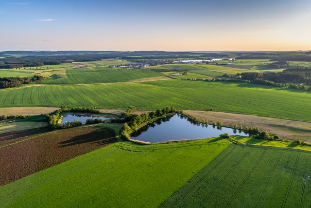 Ecology is not only about natural materials - zdjęcie poglądowe